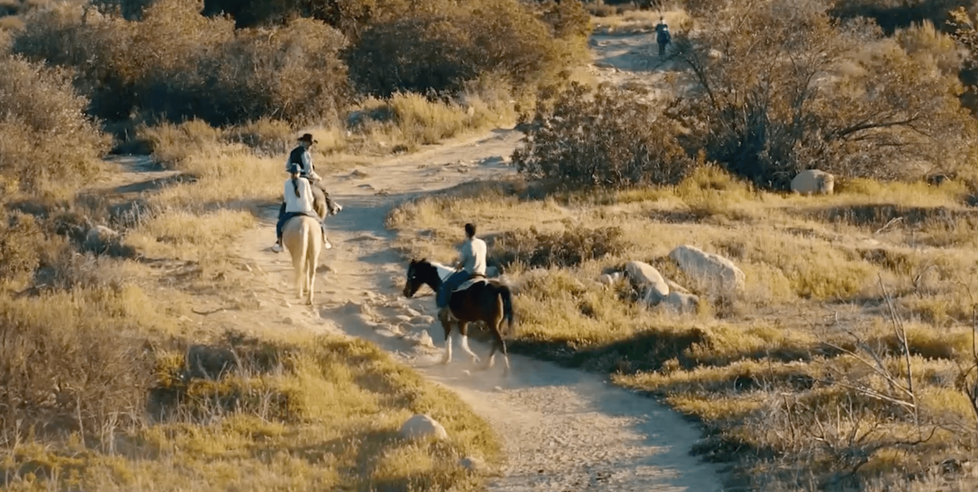 man and woman on horsback in ojai valley